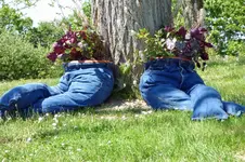 P1010562 Jeans.webp