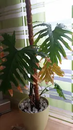 20160930_155257.webp
