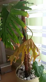 20160930_155328.webp
