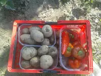 20160930_151255.jpg