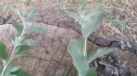 20160930_131008.webp