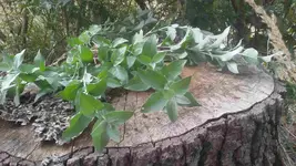 20160930_131013.webp