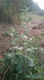 20160930_131028.webp