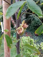 20161001_133155 (Large).webp