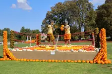 2016-09-23-9569 - Kopie.jpg