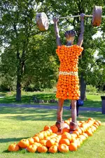 2016-09-23-9571 - Kopie.webp