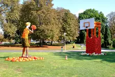 2016-09-23-9572 - Kopie.webp