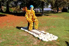 2016-09-23-9574 - Kopie.webp