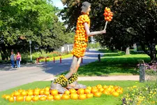 2016-09-23-9592 - Kopie.jpg