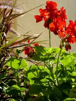 P1000099(1).webp