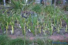 comp_DSC05737.webp