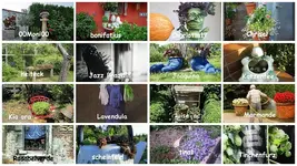 September 2016 Töpfe mit Pflanzen als Hingucker v.webp