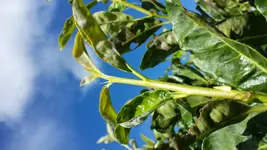 20161002_113439[1].webp