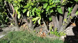 20161002_113558[1].webp