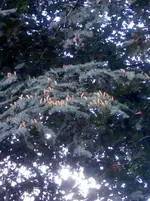 IMG_20161002_120527.webp