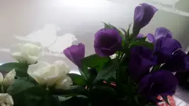 20161002_180133.jpg