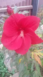 20161001_103510.jpg