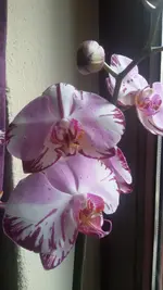 20161002_145128.jpg