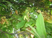IMG_7432.webp