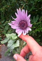 IMG-20160930-WA0039.webp