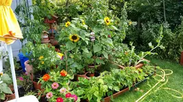 20160822_144553_resized.webp