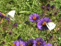 BILD5902.webp