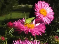 BILD5878.webp