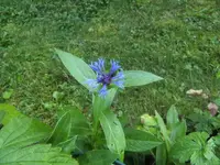BILD5905.webp