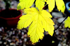2016-10-03-9659 - Kopie.webp