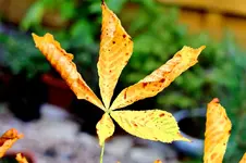 2016-10-03-9660 - Kopie.webp