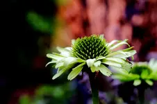 2016-10-03-9662 - Kopie.webp