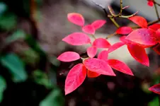 2016-10-03-9664 - Kopie.webp