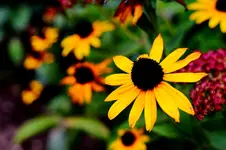 2016-10-03-9666 - Kopie.webp