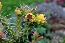 2016-10-03-9667 - Kopie.webp