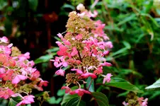 2016-10-03-9668 - Kopie.webp