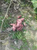 20161001_134848.jpg