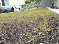IMG_20161003_141632.jpg