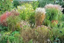 DSCF7573 (2).jpg