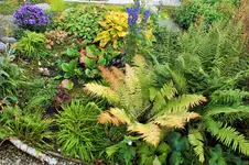 DSCF7572 (2).webp