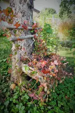 DSCF7575 (2).webp