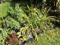 BILD5906.webp