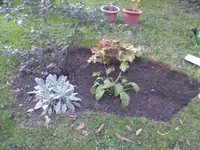 BILD5929.webp