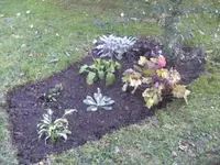 BILD5931.webp