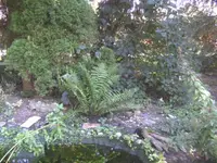 BILD5910.webp