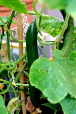 2016-10-03-9669 - Kopie.webp