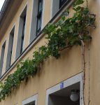 wein2015-04.jpg