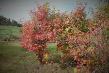 DSCF7602 (2).webp