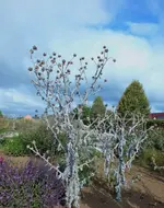 DSCF7595 (3).webp