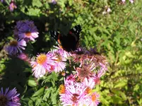 IMG_7455.webp