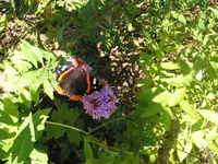 IMG_7456.webp
